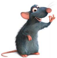Benutzerbild von mouses